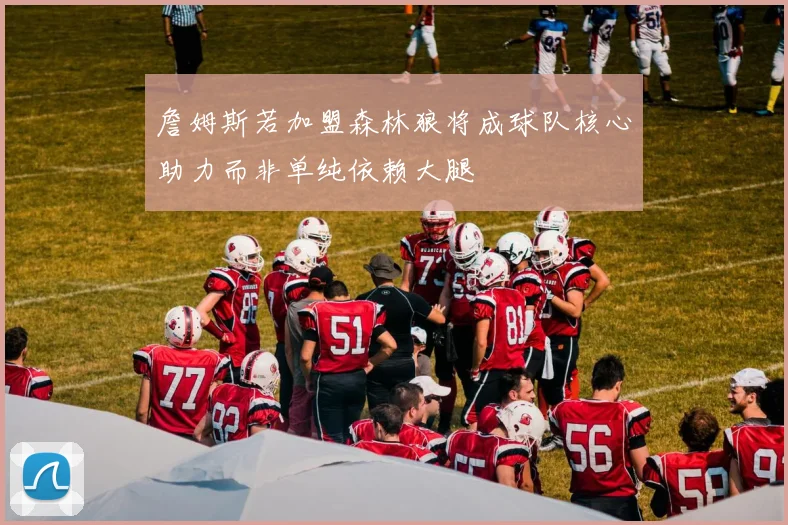 詹姆斯若加盟森林狼将成球队核心助力而非单纯依赖大腿