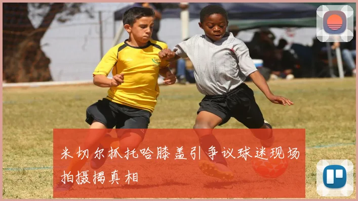 米切尔抓托哈膝盖引争议球迷现场拍摄揭真相